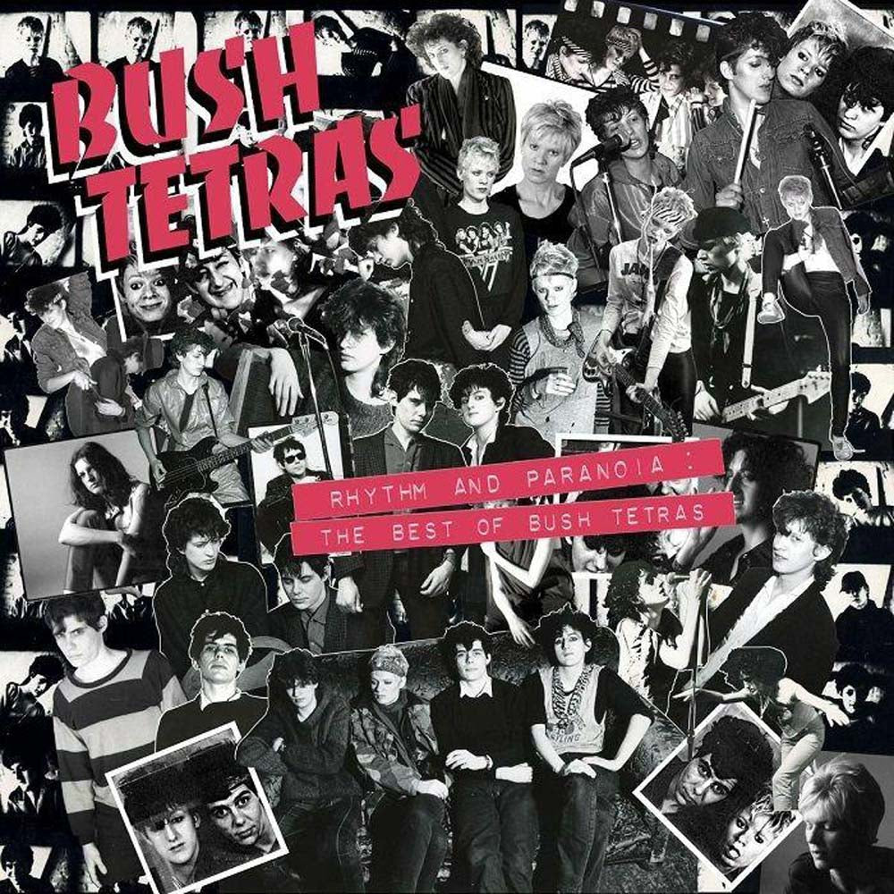 Bush Tetras Rhythm And Paranoia: The Best Of Bush Tetras Vinyl LP Box Set 2021 - VINYL LP "VINYLBADGES"