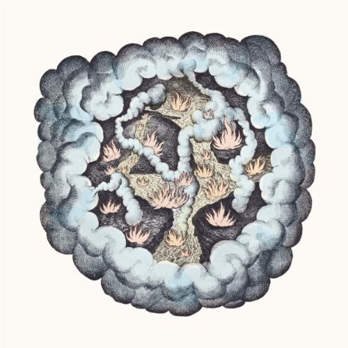 TW Walsh: Songs of Pain and Leisure - VINYL LP "VINYLBADGES"