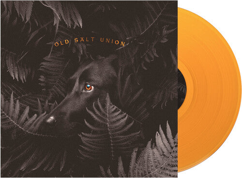 Old Salt Union: Where The Dogs Don't Bite - VINYL LP "VINYLBADGES"