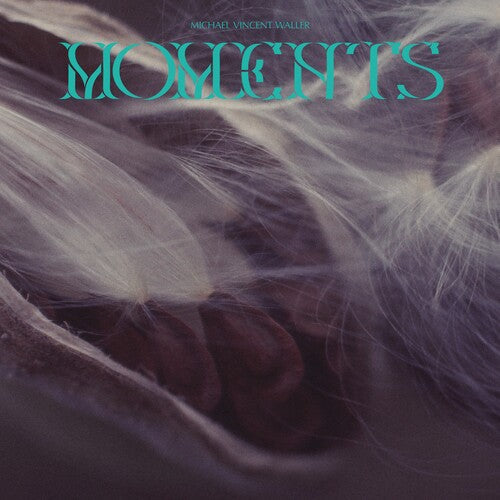 Michael Vincent Waller: Moments - VINYL LP "VINYLBADGES"