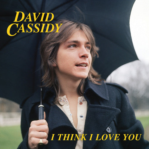 David Cassidy: I Think I Love You - VINYL LP "VINYLBADGES"