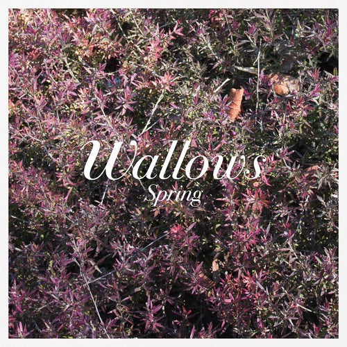 Wallows: Spring - VINYL LP "VINYLBADGES"
