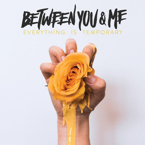 Between You & Me: Everything Is Temporary - VINYL LP "VINYLBADGES"