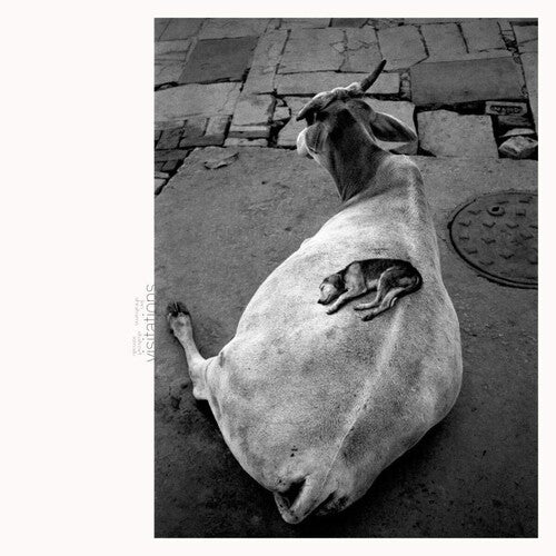 Leo Abrahams: Visitations - VINYL LP "VINYLBADGES"