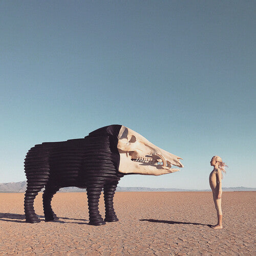 Man Man: Dream Hunting In The Valley Of The In-between - VINYL LP "VINYLBADGES"