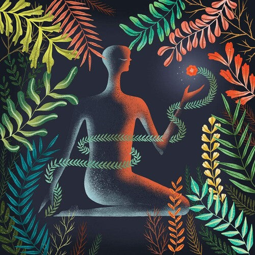 Loma: Don't Shy Away - VINYL LP "VINYLBADGES"