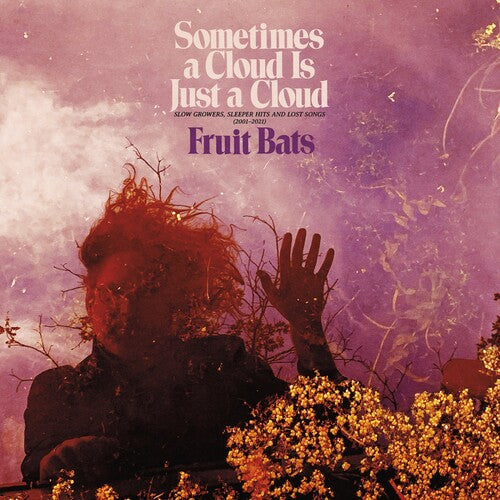 Fruit Bats: Sometimes a Cloud Is Just a Cloud: Slow Growers, Sleeper Hits and Lost Songs (2001–2021) - VINYL LP "VINYLBADGES"