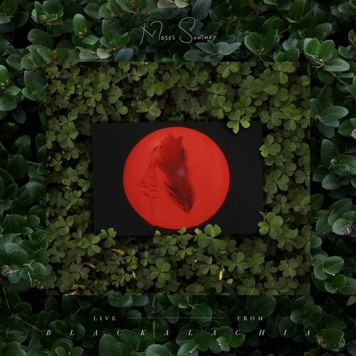 Moses Sumney: Live From Blackalachia - VINYL LP "VINYLBADGES"