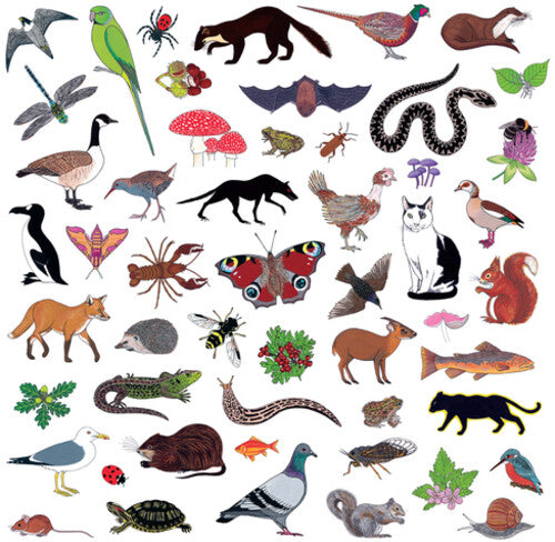 Modern Nature: Island Of Noise - VINYL LP "VINYLBADGES"