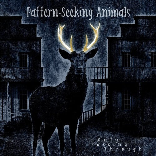 Pattern-Seeking Animals: Only Passing Through - VINYL LP "VINYLBADGES"
