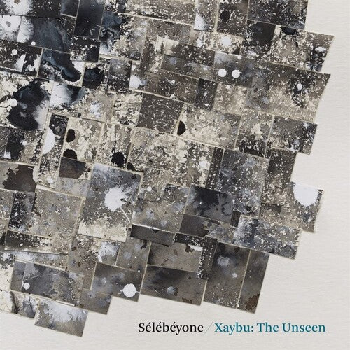Steve Lehman: Xaybu: The Unseen - VINYL LP "VINYLBADGES"
