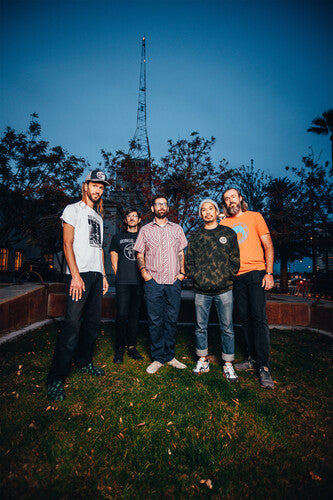 AJJ: Disposable Everything - VINYL LP "VINYLBADGES"