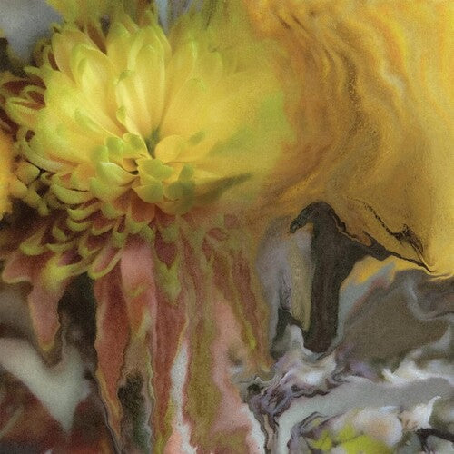 Parker Millsap: Wilderness Within You - VINYL LP "VINYLBADGES"