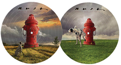 Rush: Signals (40th Anniversary) - VINYL LP "VINYLBADGES"