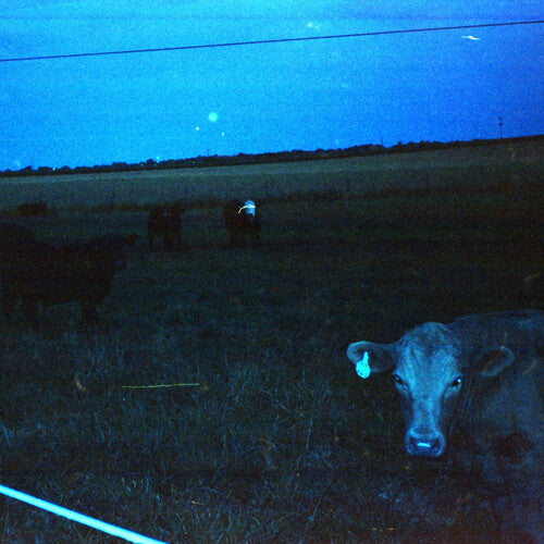 waveform*: Antarctica - Dark Blue - VINYL LP "VINYLBADGES"