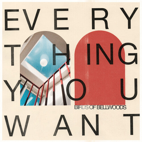 Birds of Bellwoods: Everything You Want - VINYL LP "VINYLBADGES"