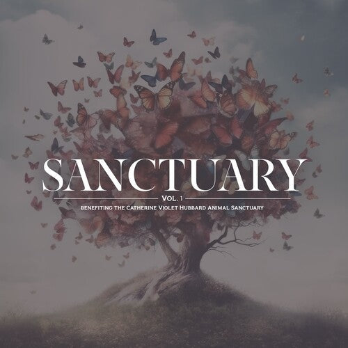 Various Artists: Sanctuary Vol. 1 (Various Artists) - VINYL LP "VINYLBADGES"