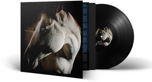 Brother Dege: How To Kill A Horse - VINYL LP "VINYLBADGES"