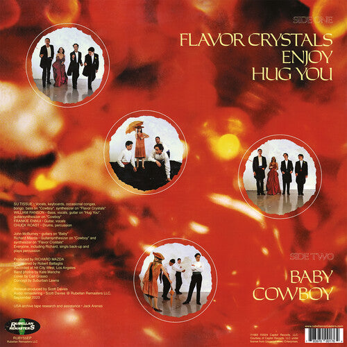 Suburban Lawns: Baby - VINYL LP "VINYLBADGES"