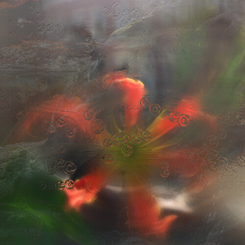 Upsammy: Germ in a Population of Buildings - VINYL LP "VINYLBADGES"