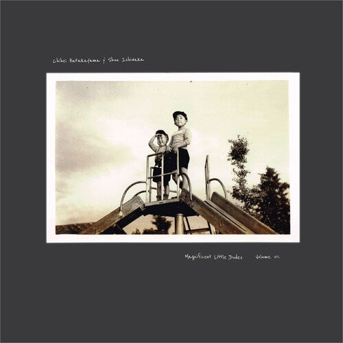 Chihei Hatakeyama: Magnificent Little Dudes Vol. 1 - VINYL LP "VINYLBADGES"