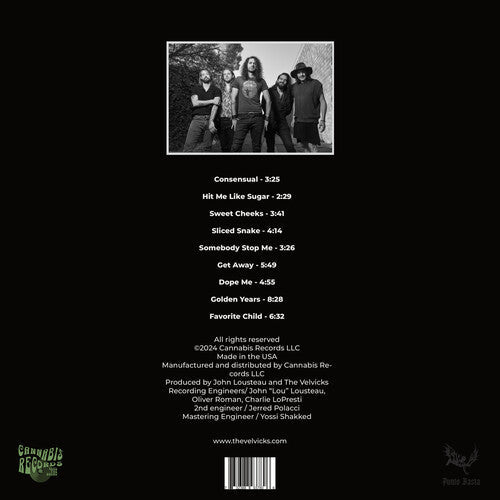 The Velvicks: Greatest Hits - VINYL LP "VINYLBADGES"