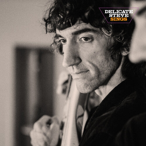 Delicate Steve: Delicate Steve Sings - VINYL LP "VINYLBADGES"