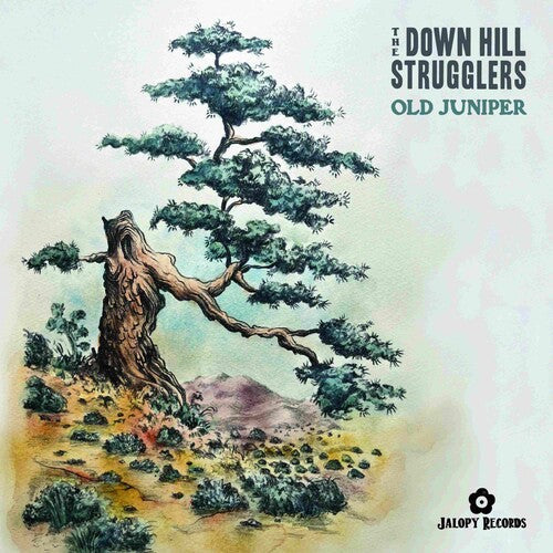 The Down Hill Strugglers: Old Juniper - VINYL LP "VINYLBADGES"