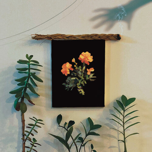 Why?: The Well I Fell Into - VINYL LP "VINYLBADGES"