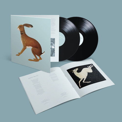 Vashti Bunyan: Lookaftering - Expanded - VINYL LP "VINYLBADGES"