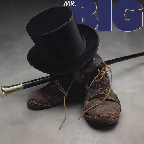 Mr Big: Mr Big - VINYL LP "VINYLBADGES"