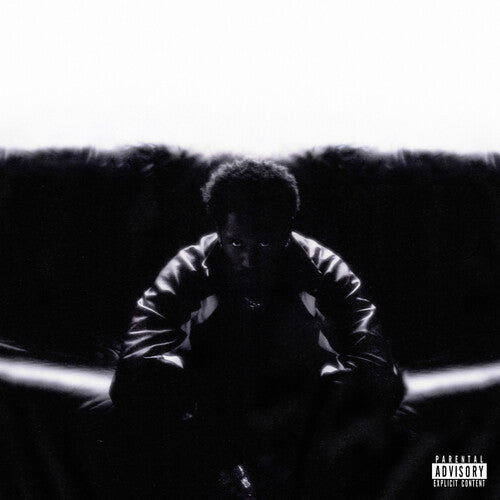 KAYTRANADA: Timeless - VINYL LP "VINYLBADGES"