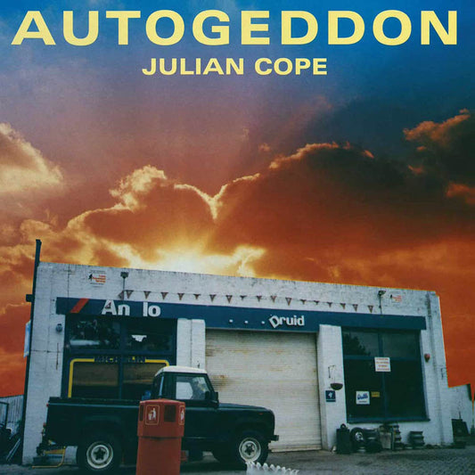 Julian Cope Autogeddon Vinyl LP Box Set New - VINYL LP "VINYLBADGES"