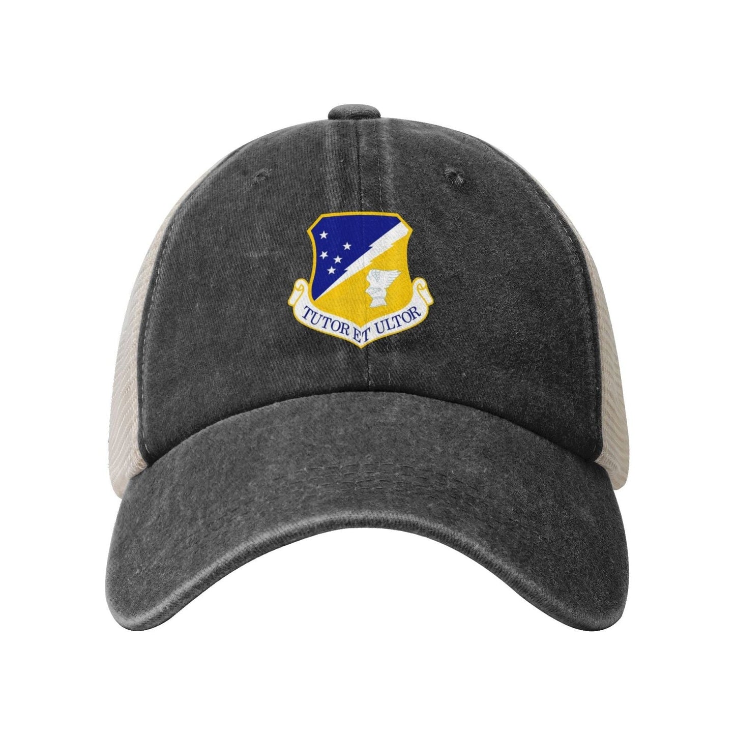 49th Fighter Wing Printed unisex baseball cap adjustable grid baseball cap veteran gift