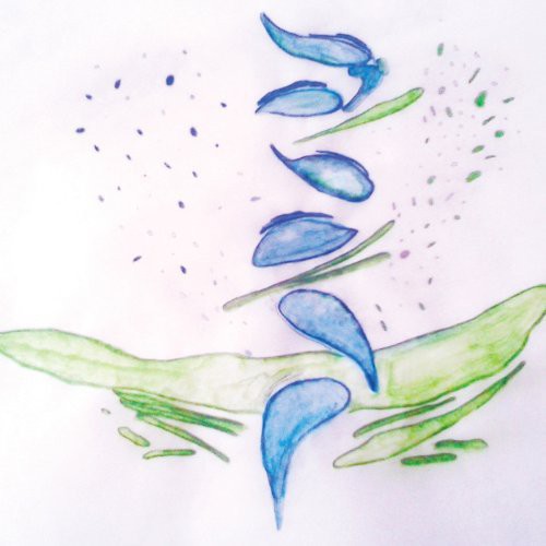 Fis: Iterations - VINYL LP "VINYLBADGES"