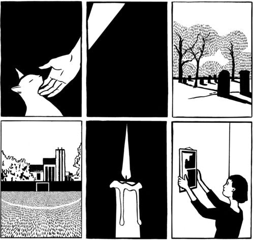 PAWS: No Grace - VINYL LP "VINYLBADGES"