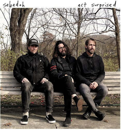 Sebadoh: Act Surprised - VINYL LP "VINYLBADGES"