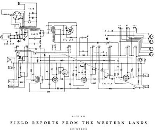 James Reindeer: Field Reports From The Western Lands - VINYL LP "VINYLBADGES"