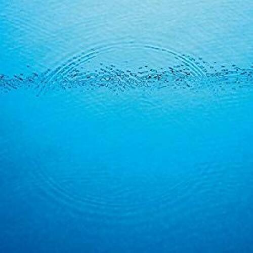 Caribou: Suddenly - VINYL LP "VINYLBADGES"