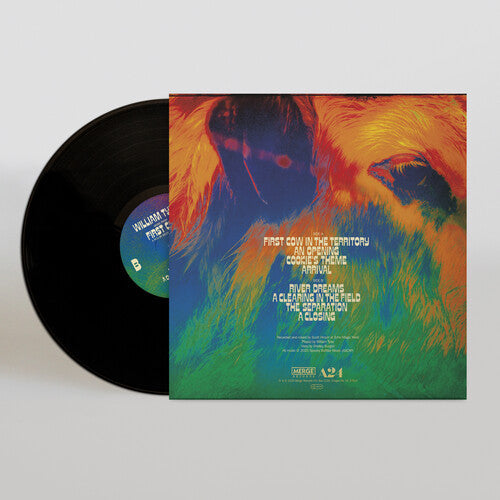 William Tyler: Music From First Cow - VINYL LP "VINYLBADGES"