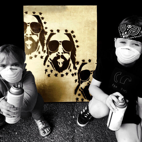 Brian Wright: Lapse Of Luxury - VINYL LP "VINYLBADGES"