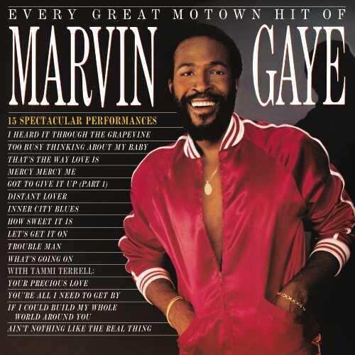 Marvin Gaye: Every Great Motown Hit Of Marvin Gaye: 15 Spectacular Performances - VINYL LP "VINYLBADGES"