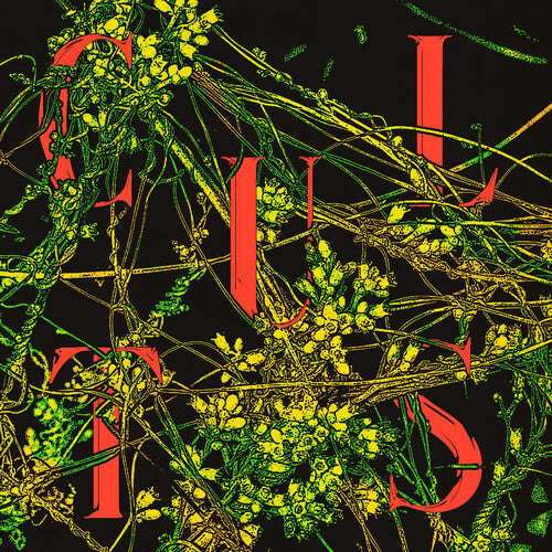 Cults: Host - VINYL LP "VINYLBADGES"