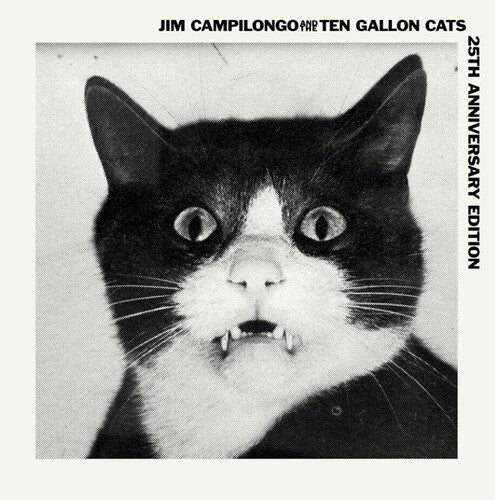 Jim Campilongo: Jim Campilongo & Ten Gallon Cats - VINYL LP "VINYLBADGES"
