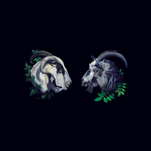 Dbuk: Songs Nine Through Sixteen - VINYL LP "VINYLBADGES"