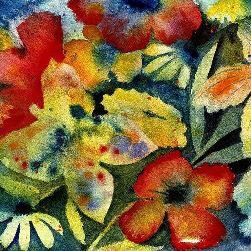 Adrianne Lenker: Songs And Instrumentals - VINYL LP "VINYLBADGES"