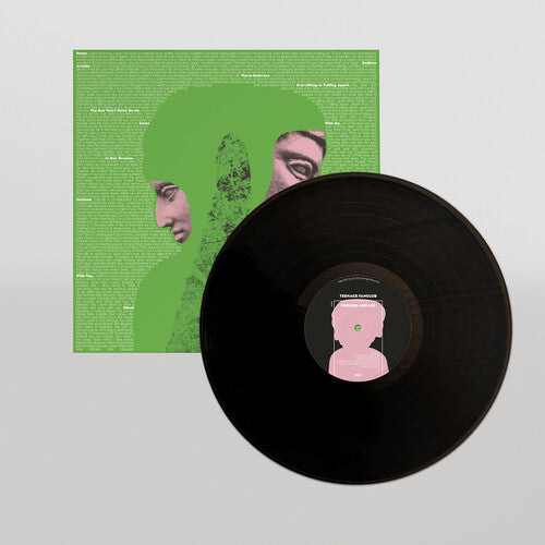 Teenage Fanclub: Endless Arcade - VINYL LP "VINYLBADGES"