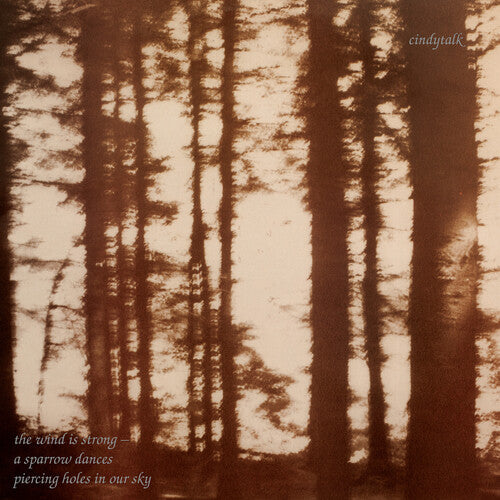 Cindytalk: The Wind Is Strong - VINYL LP "VINYLBADGES"