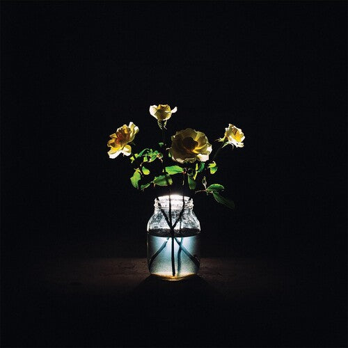 Billy Strings: Renewal - VINYL LP "VINYLBADGES"