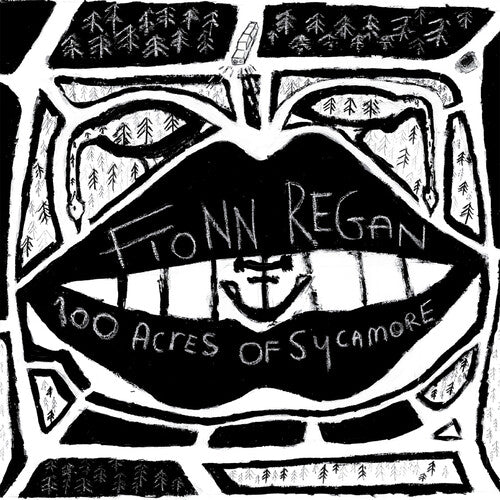 Fionn Regan: 100 Acres Of Sycamore - VINYL LP "VINYLBADGES"